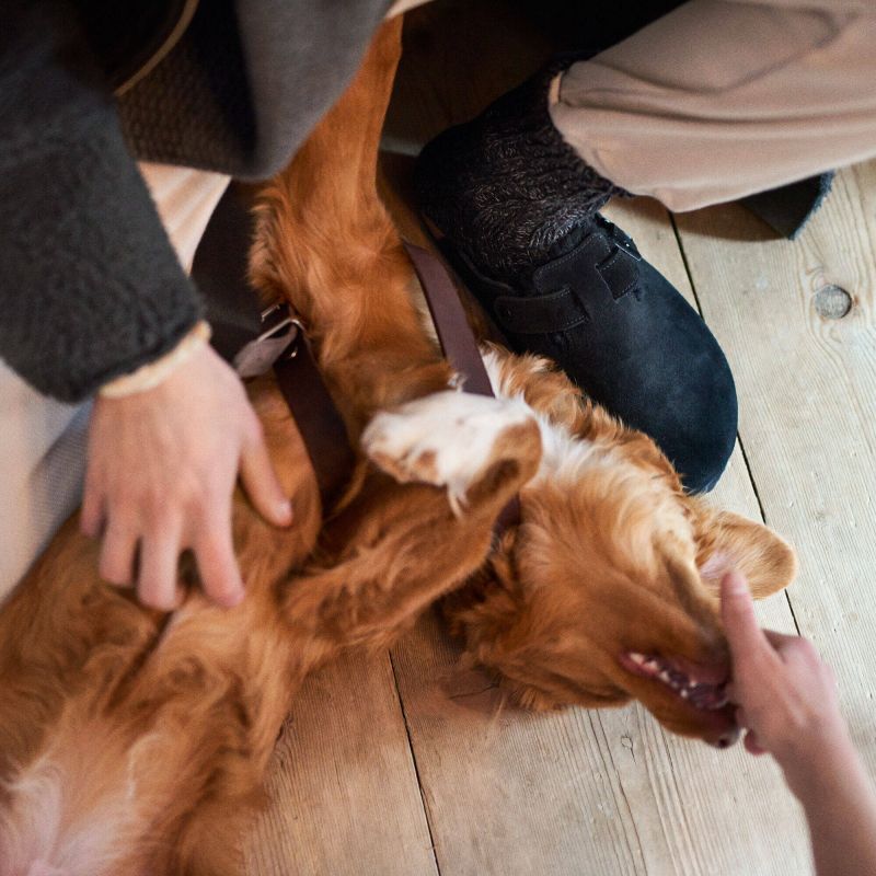 Birkenstock Boston Shearling Black Women's Wool Insulated Clogs in Suede Leather Narrow (0259883)